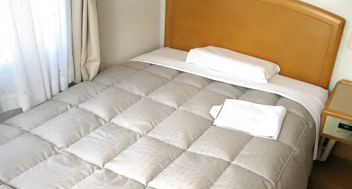 Mito Riverside Hotel Rooms Photos